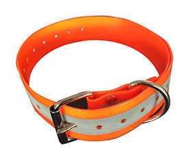 2'' big dog collar