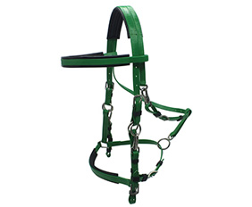 Endurance bridle halter