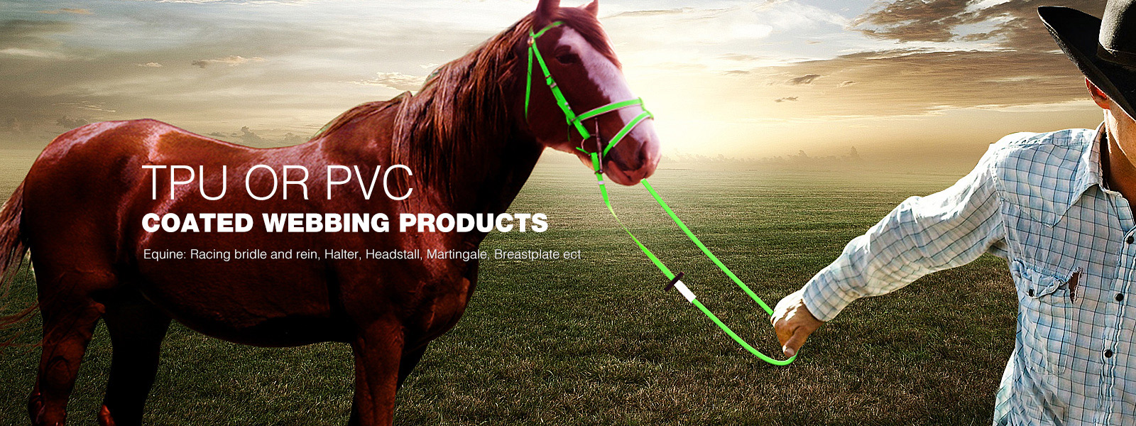 Glossy TPU Halters