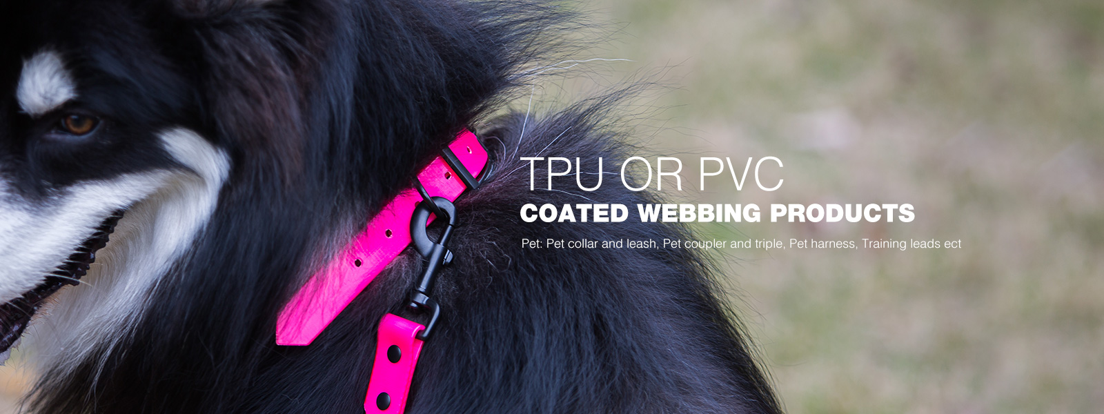 Solid Color PVC Collars