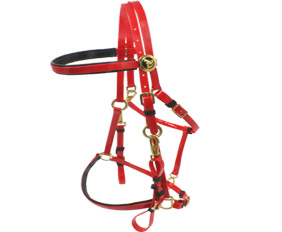 TPU Endurance horse bridle halter