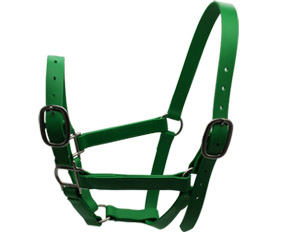 Special Green Horse halter 1''PVC