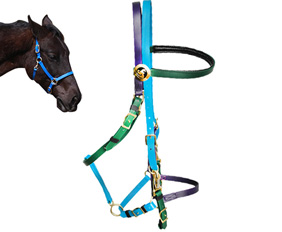 Horse size any 2 color halter bridle made from PVC coated nylon webbing