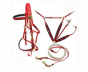 Horse supplies PVC bridle halters with brass buckle Red
