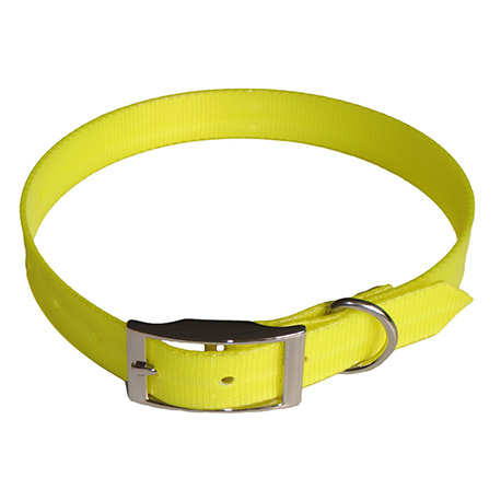 dog lead and collar set
