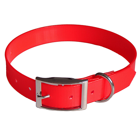 red dog collar and lead