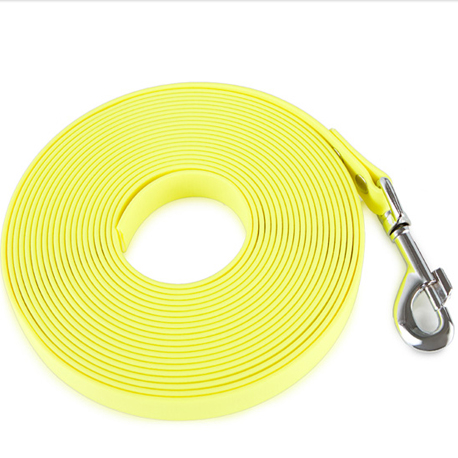 yellow dog leash