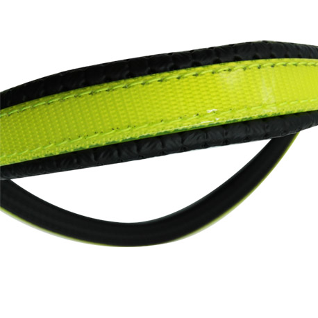 yellow browband