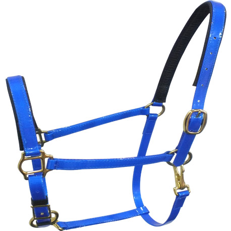 Small size horse halter TPU