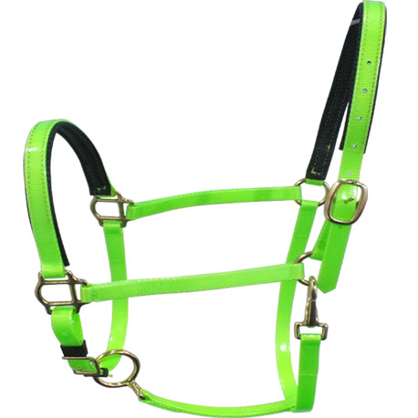 green horse halter TPU