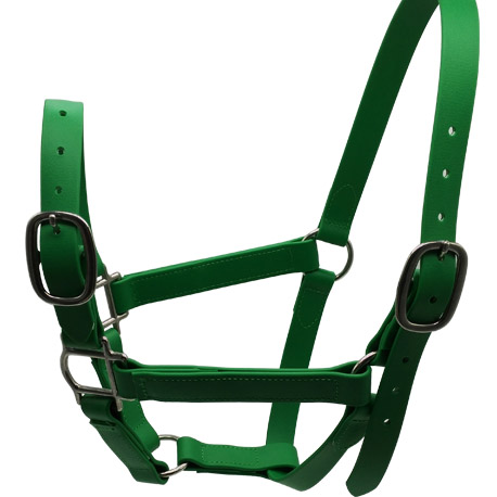 Special Green Horse halter 1''PVC