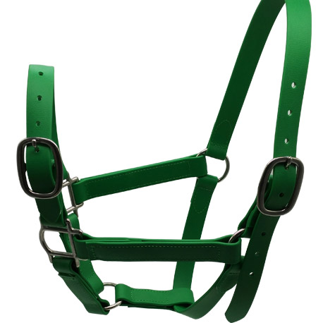 Horse halter 1``PVC