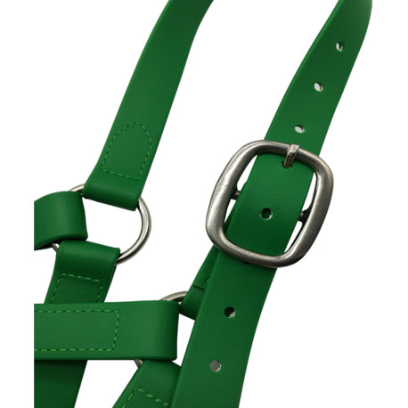 green Horse halter 1``PVC