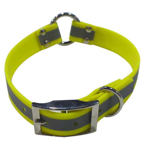 O ring dog collar