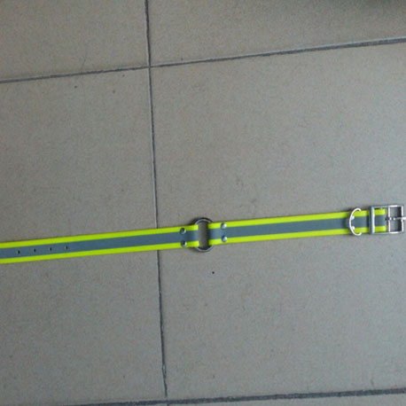Reflective center O ring dog collar