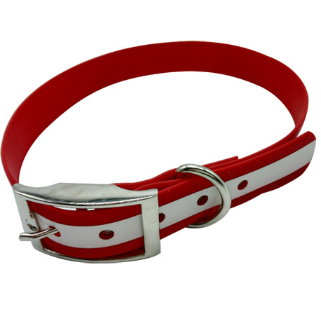 Illuminated dog collar PVC