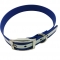 Illuminated dog collar PVC