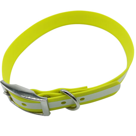 yellow dog collar