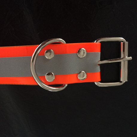 dog collar with roller buckle