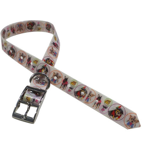 dog collar and leash set