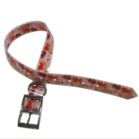 dog collar with leash