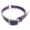 High quality center O ring pet collar