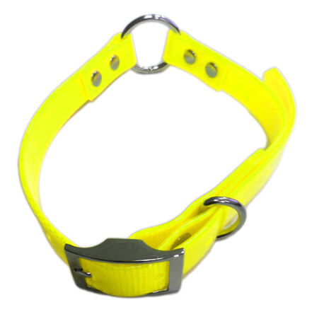 best dog collar brands