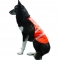 Reflect and protect active dog vest
