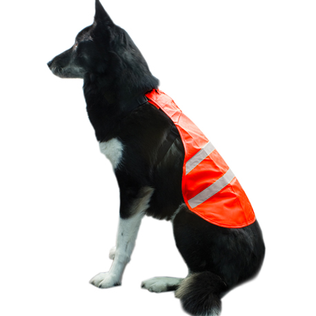 Reflect and protect active dog vest