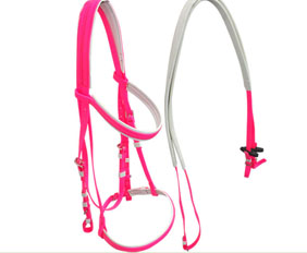 Waterproof horse race bridle and rein in different colors