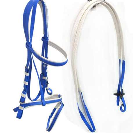 blue horse bridle