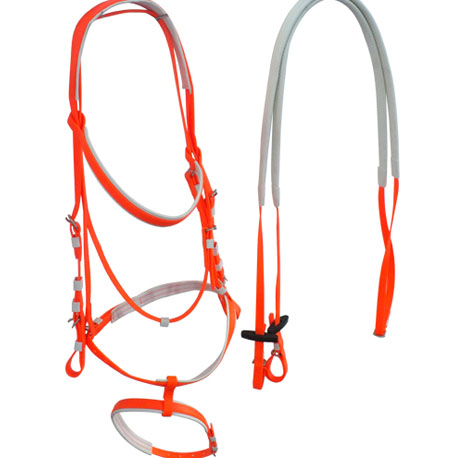 orange horse bridle