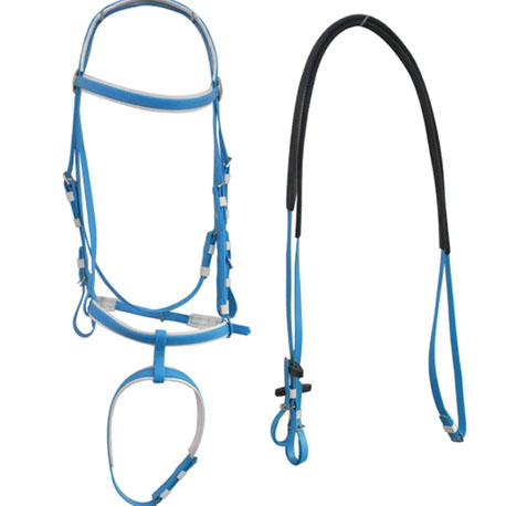 sky blue horse bridle