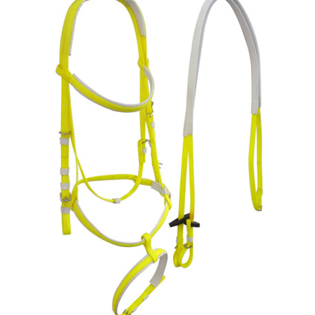 yellow horse bridle