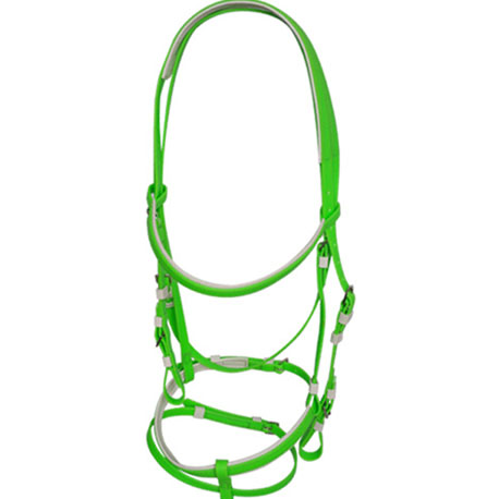 green horse bridle