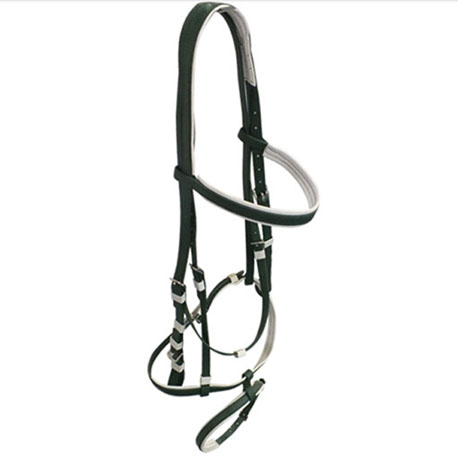 horse bridle