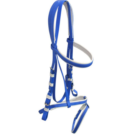 dark blue horse bridle