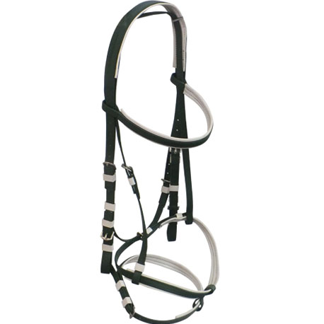 black horse bridle