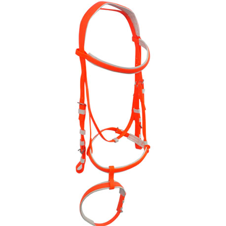 Red horse bridle with two nosebands