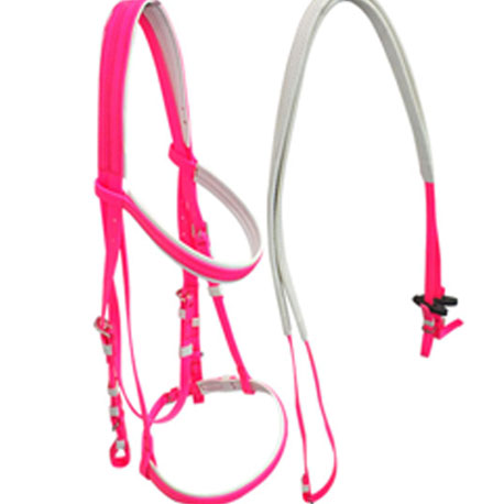 Waterproof horse race bridle and rein