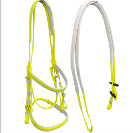 yellow bridle and rein