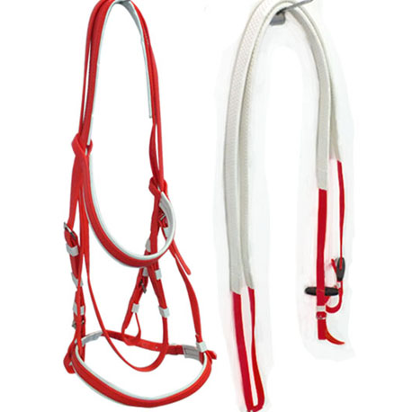 red bridle and rein