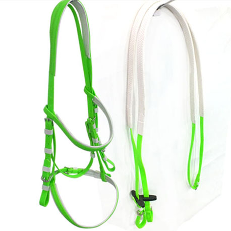 green bridle and rein