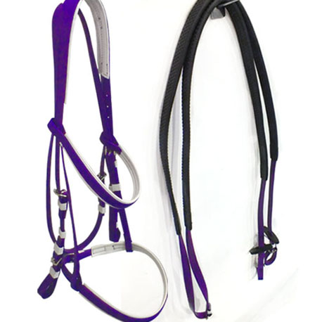 purple bridle and rein