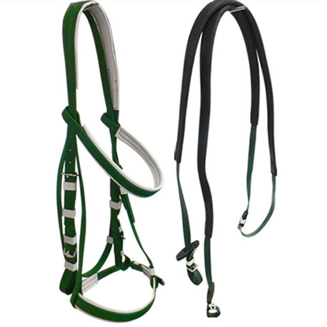 dark green bridle and rein