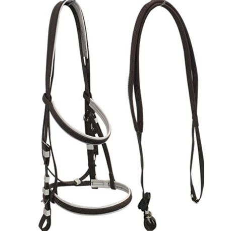 black bridle and rein