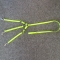 Neon yellow PVC 3 dogs triple with leash attached