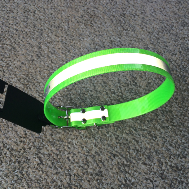 reflective dog collar