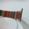 Rainbow horse bridles halters reins collars with TPU coated webbings