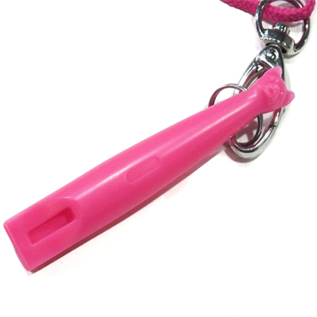 pink whistles